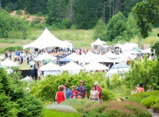 KAZDAĞALARIM FESTİVAL