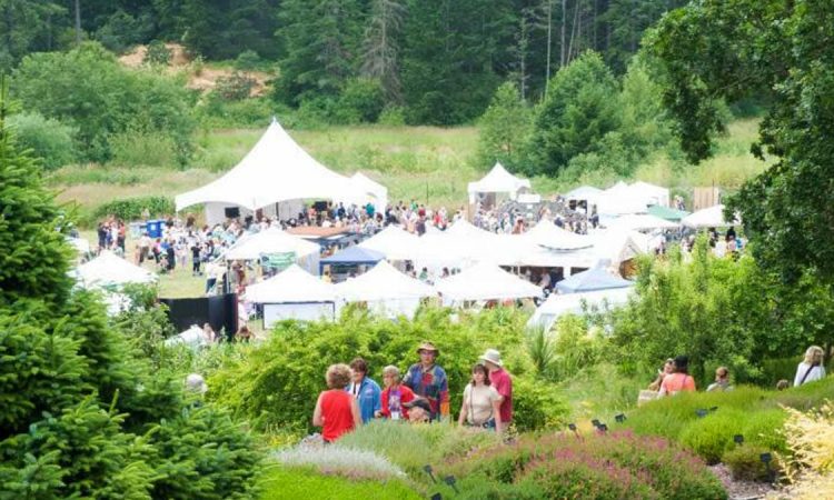 KAZDAĞALARIM FESTİVAL